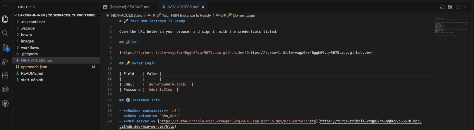 N8N Access